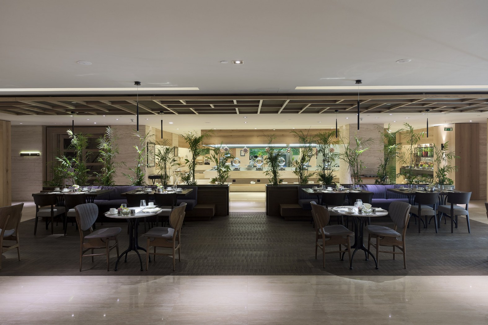 The Terrace